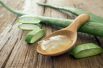 एलोवेरा के फायदे और उपयोग – Aloe Vera Juice Benefits