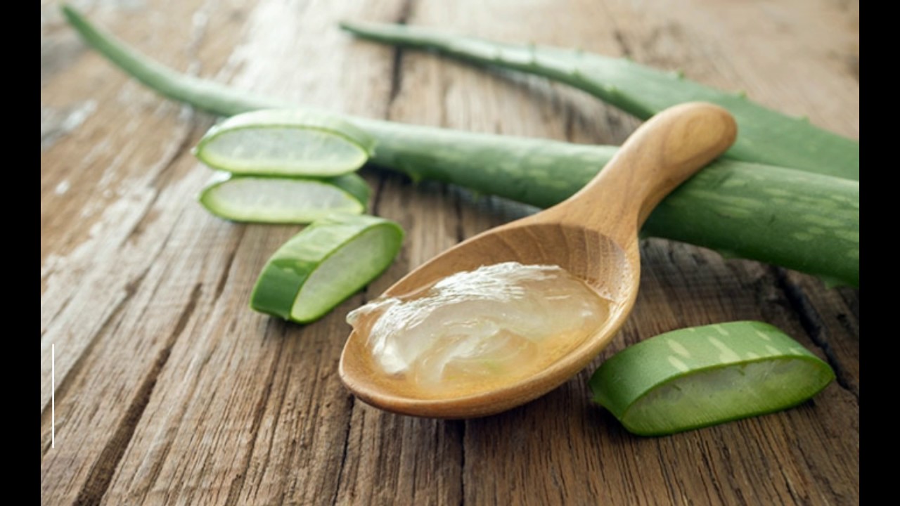 एलोवेरा के फायदे और उपयोग – Aloe Vera Juice Benefits