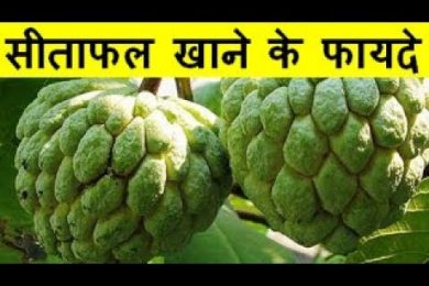 सीताफल खाने के फायदे Custard Apple Health Benefits