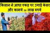 किसान ने आधा एकड़ पर उगाई केसर  Farmer raised half acre of saffron and earned 50 lakh rupees