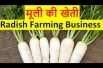मूली की खेती radish farming business, radish cultivation, Muli ki kheti kaise kare