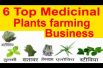 6 Top Medicinal plants farming Business औषधीय फसलो की खेती करने से किसानों को होगा ज्यादा benefit