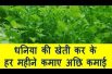 धनिया की खेती कर के हर महीने कमाए अछि कमाई Coriander farming