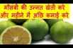मौसंबी की उन्नत खेती करे और महीने मै अछि कमाई करे Sweet Lime (Mosambi) Farming
