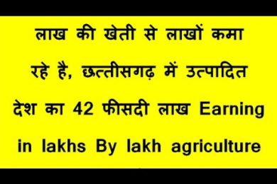लाख की खेती से लाखों कमा रहे है, छत्तीसगढ़ में उत्पादित देश का 42 फीसदी लाख