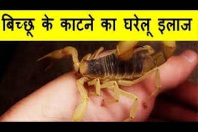 Home Remedies For Scorpion Bites बिच्छू के काटने का घरेलू इलाज