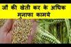 जौ की खेती कर के अधिक मुनाफा कामये Barley farming