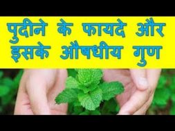 Benefits of Mint and its Medicinal Properties पुदीने के फायदे और इसके औषधीय गुण