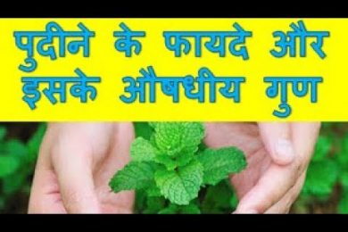 Benefits of Mint and its Medicinal Properties पुदीने के फायदे और इसके औषधीय गुण