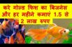 करे गोल्ड फिश का बिजनेस और हर महीने कमाएं 1 5 से 2 लाख रुपए Goldfish farming business