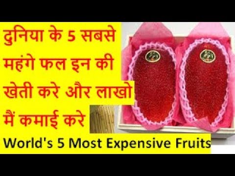 दुनिया के 5 सबसे महंगे फल इन की खेती करे और लाखो मैं कमाई करे World’s 5 Most Expensive Fruits