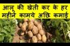 आलू की खेती कर के हर महीने कामये अछि कमाई Potato Farming