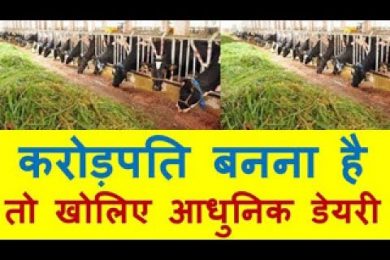 Earn in crores करोड़पति बनना है तो खोलिए आधुनिक डेयरी Dairy Farming Business