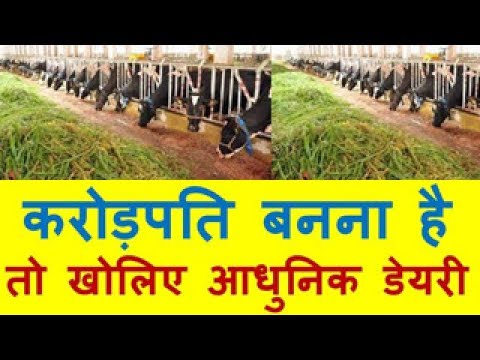 Earn in crores करोड़पति बनना है तो खोलिए आधुनिक डेयरी Dairy Farming Business