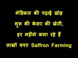 Saffron kesar Farming in Jalgoan मेडिकल की पढ़ाई छोड़ शुरू की केसर की खेती, हर महीने कमा रहे हैं लाख