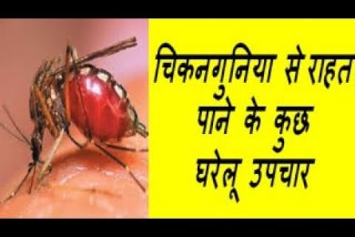 चिकनगुनिया से राहत पाने के कुछ घरेलू उपचार   Home Remedy For chikungunya