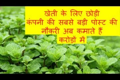 खेती के लिए छोड़ी कंपनी की सबसे बड़ी पोस्ट की नौकरी अब कमाते हैं करोड़ों में