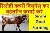 Sirohi Goat Farming business in india   सिरोही बकरी पालन गोट फार्मिंग Earn Good profit