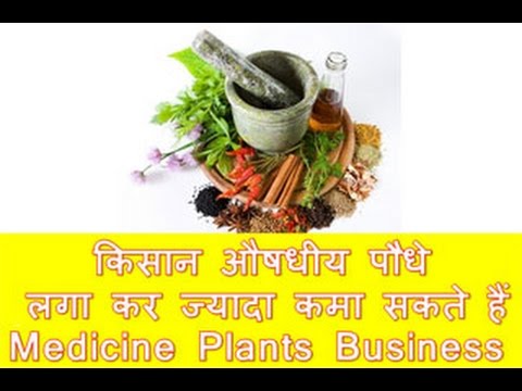 Farmer Can Earn more Income with Medicine Plants किसान औषधीय पौधे लगा कर ज्यादा कमा सकते हैं