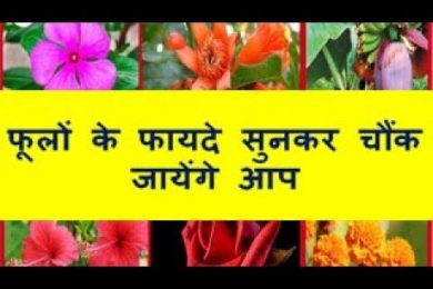 फूलों के फायदे सुनकर चौंक जायेंगे आप