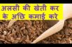 अलसी की खेती कर के अछि कमाई करे  Linseed Farming