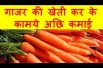गाजर की खेती कर के कामये अछि कमाई Carrots Farming Business