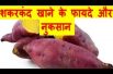 शकरकंद के फायदे और नुकसान Sweet Potato Benefits And Side Effects