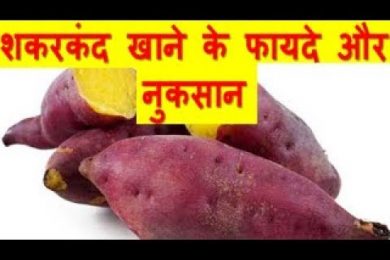 शकरकंद के फायदे और नुकसान Sweet Potato Benefits And Side Effects