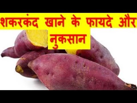 शकरकंद के फायदे और नुकसान Sweet Potato Benefits And Side Effects