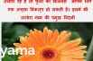 Earn 6 Lakh per year by Flower Business of Gerbera Flower | Shyama tips