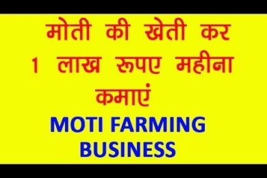 Moti Business earn Good Income by Investing in Moti Farming Business