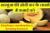 Kharbuja { muskmelon } farming business खरबूजा की खेती कर के लाखो में कमाई करे