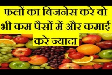 Start Fruit Business And Earn Good Income फलों का बिजनेस करे वो भी कम पैसों में और कमाई करे ज्यादा