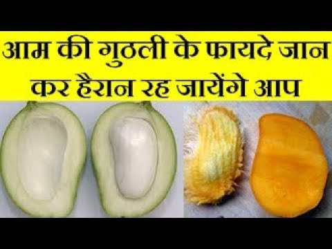 Benefits Of Mango Seed  आम की गुठली के फायदे जान कर हैरान रह जायेंगे आप