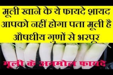 Health benefits of radish मूली खाने के ये फायदे शायद आपको नहीं होगा पता मूली है औषधीय गुणों से भरपूर