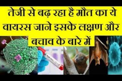 What is Nipah Virus? Symptoms, Prevention & Cure तेजी से बढ़ रहा है मौत का ये वायरस जाने