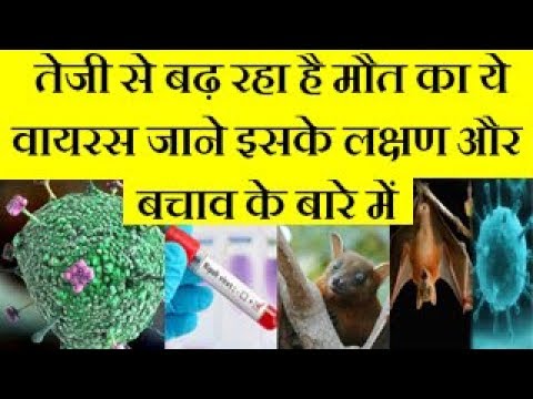 What is Nipah Virus? Symptoms, Prevention & Cure तेजी से बढ़ रहा है मौत का ये वायरस जाने