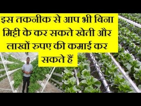 Hydroponic Farming – Hydroponic Soil-less Farming Business idea In Hindi