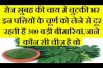 Shajan are good for your health | Benefits Of Drumsticks | Drumstick flower Benefits