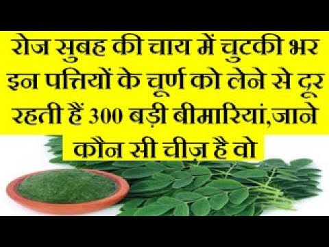 Shajan are good for your health | Benefits Of Drumsticks | Drumstick flower Benefits