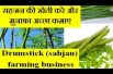 Drumstick tree (sahjan) farming business  सहजन की खेती करे और मुनाफा अच्छा कमाए