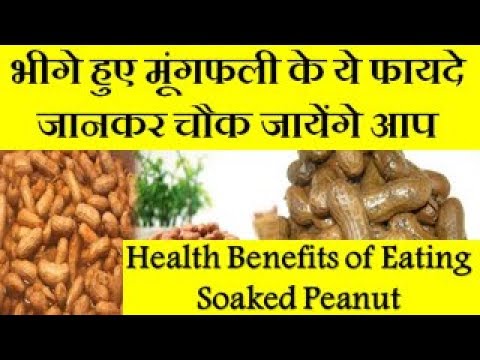 Benefits of eating Peanuts for health | Amazing Health Benefits and Uses Of Peanuts (Mungfali)