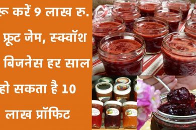 Star fruit jam and squash business and earn good income