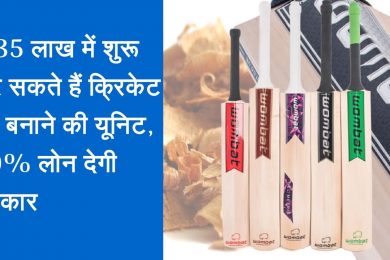 Start Cricket Bat Making Business and earn good income