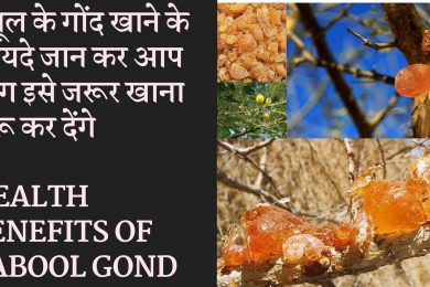 Health Benefits Of Babool Gond | बबूल की गौंद के फायदे जानकर चोक जाएगे