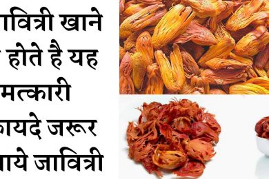 Amazing Health Benefits Of Mace Spice Javitri जावित्री खाने के फायदे