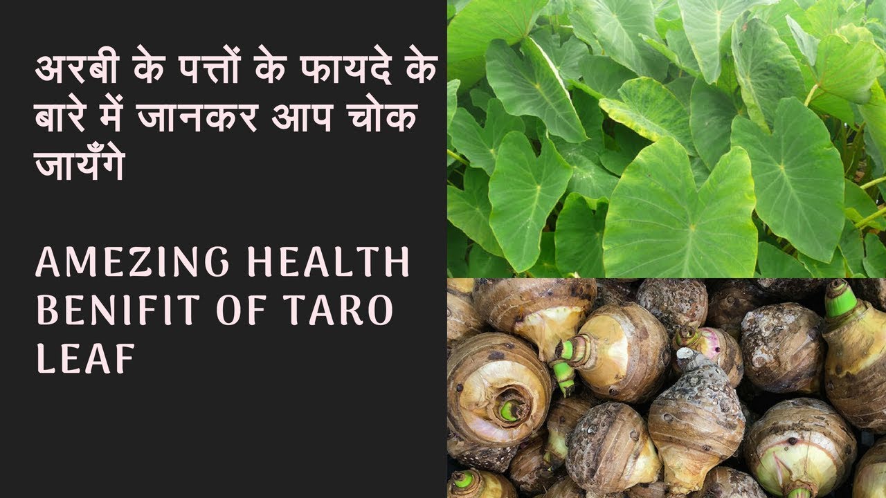 Amezing health benifit of taro leaf | Arabi ki sabji aur patto ke fayde