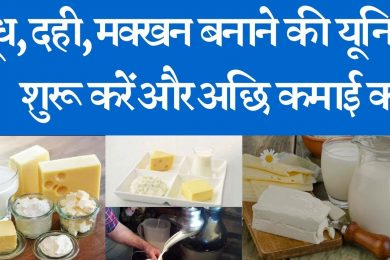 Start and run a milk processing plant and earn good income  दूध, दही, मक्खन बनाने की यूनिट शुरू करें