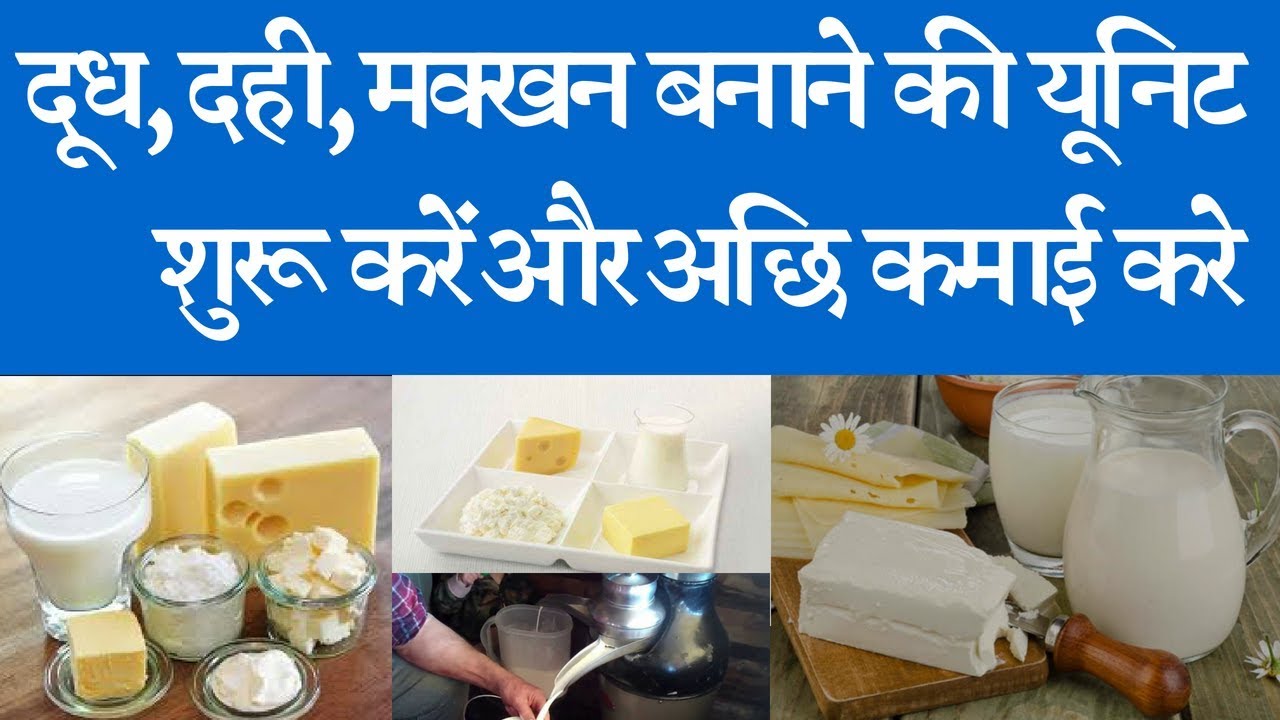 Start and run a milk processing plant and earn good income  दूध, दही, मक्खन बनाने की यूनिट शुरू करें