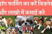 Start dog farming with low investment and earn good income डॉग फार्मिंग का करें बिजनेस होगी अच्छी कम